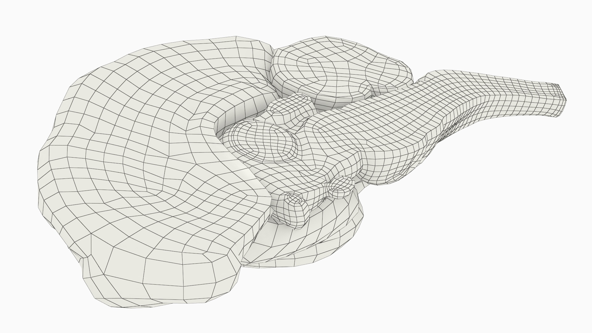Dog Right Cerebral Hemisphere on Base Stand, view 10