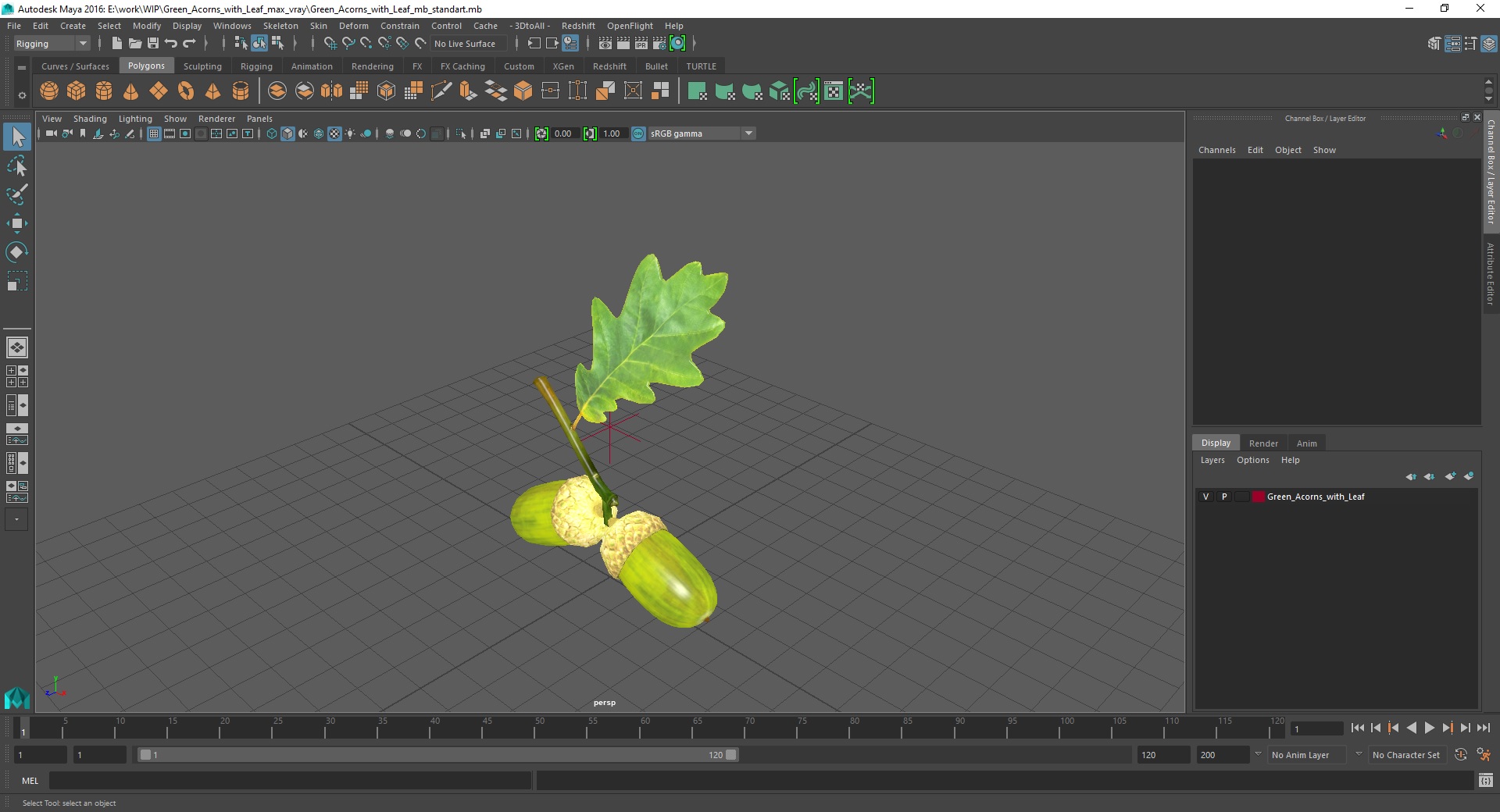 Green Acorns with Leaf 3D