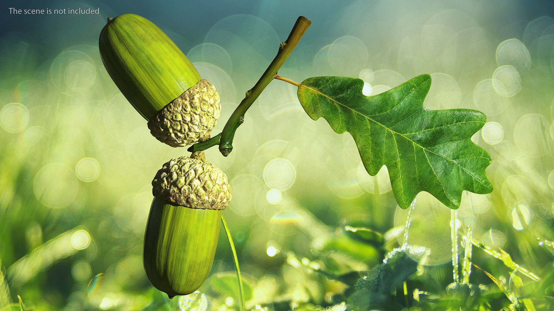 Green Acorns with Leaf 3D
