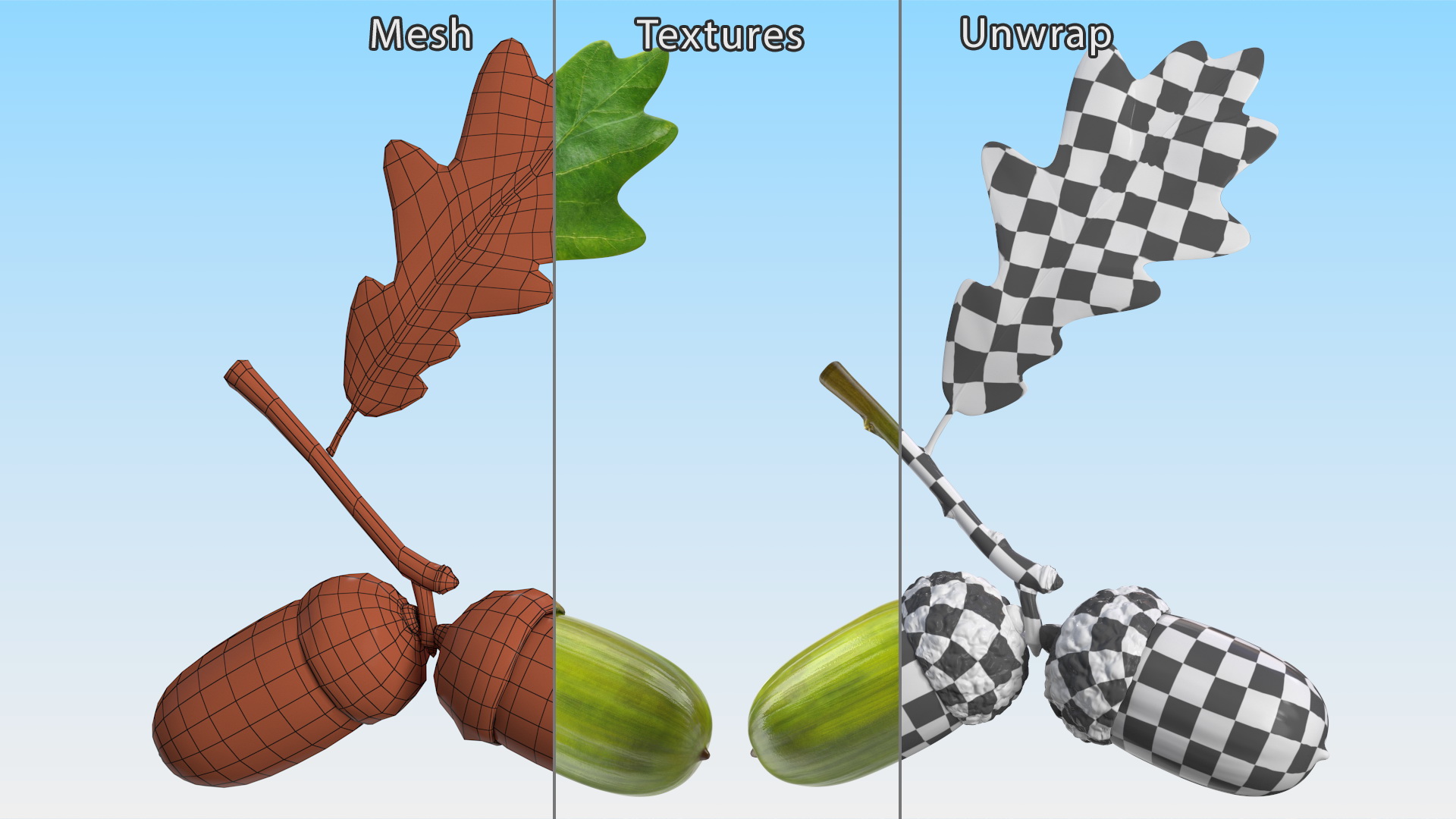 Green Acorns with Leaf 3D