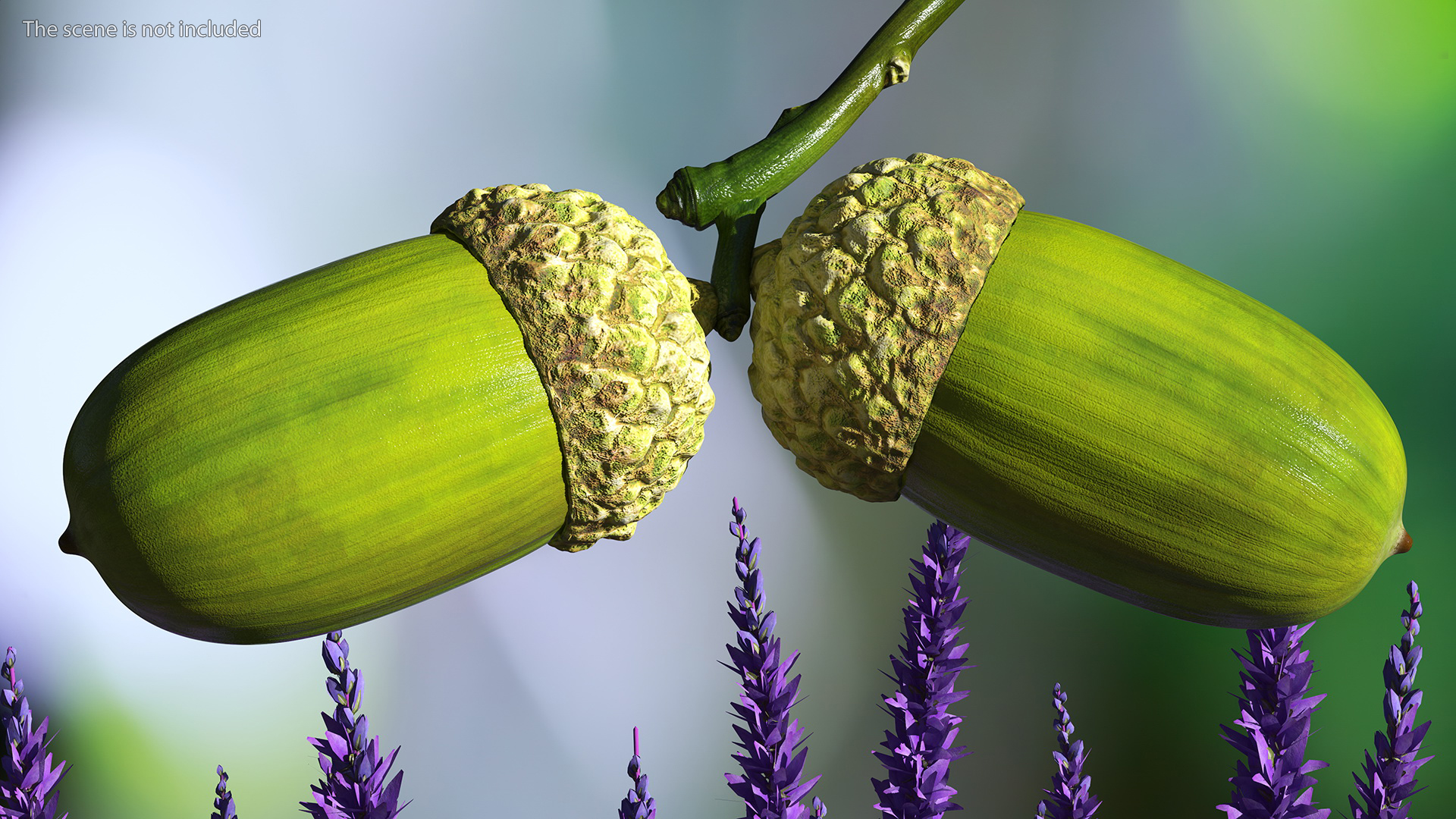 Green Acorns with Leaf 3D