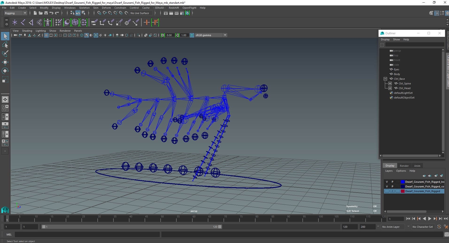 Dwarf Gourami Fish Rigged for Maya 3D model
