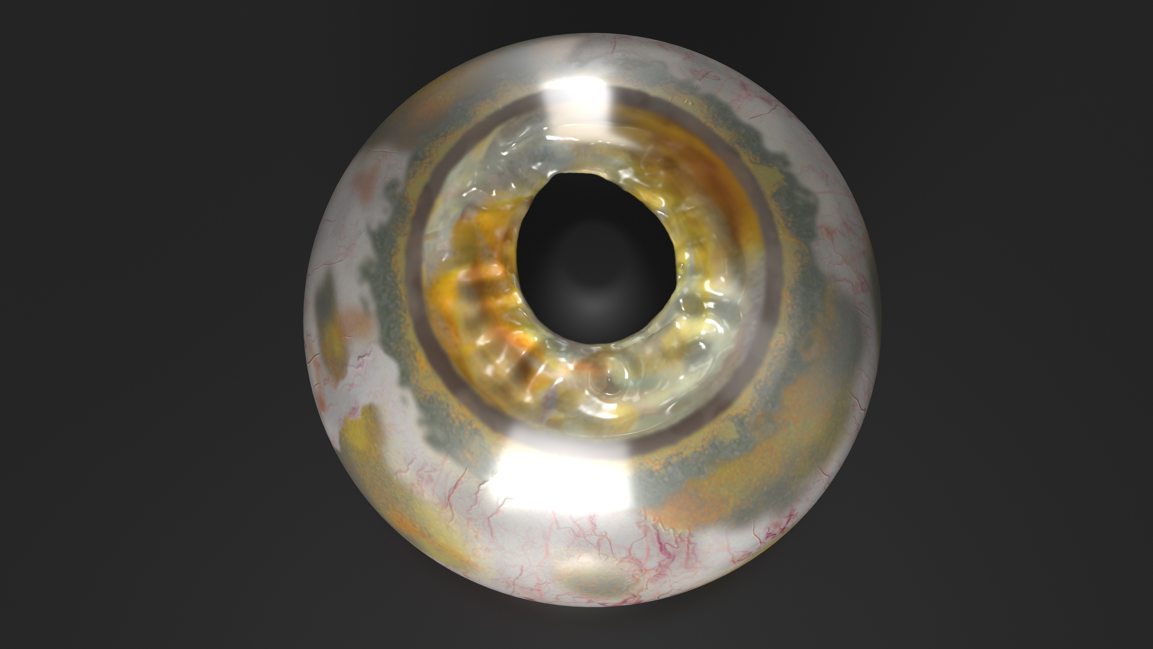 3D Realistic Fish Eye model