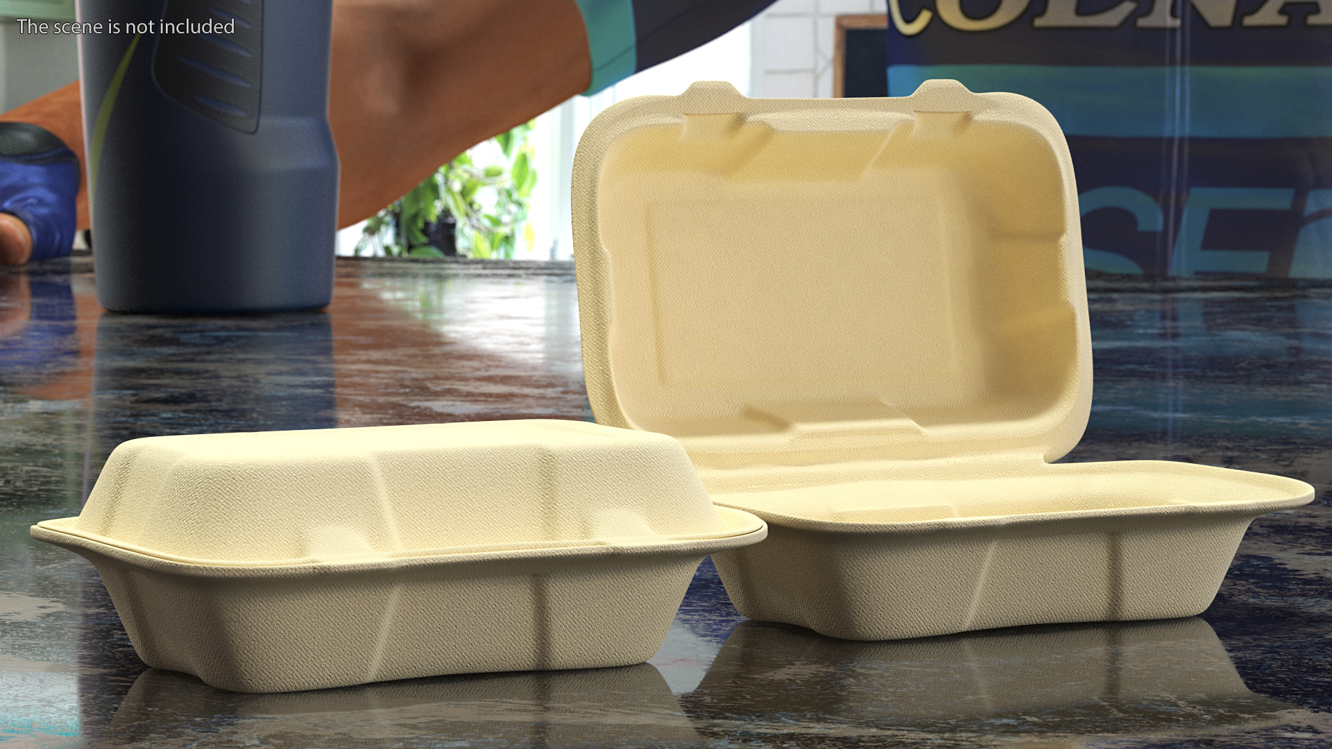3D Bagasse Food Container Set