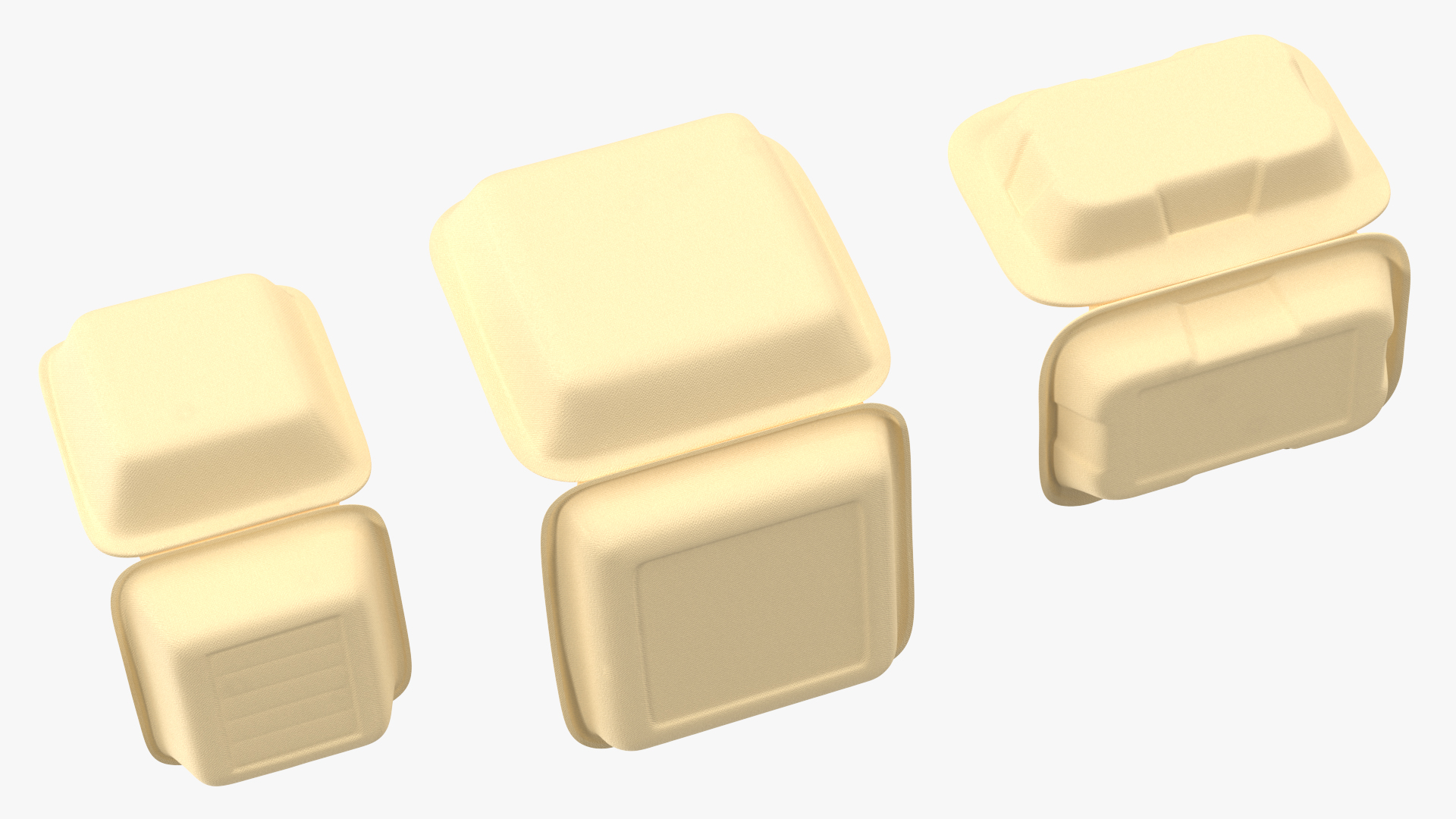 3D Bagasse Food Container Set