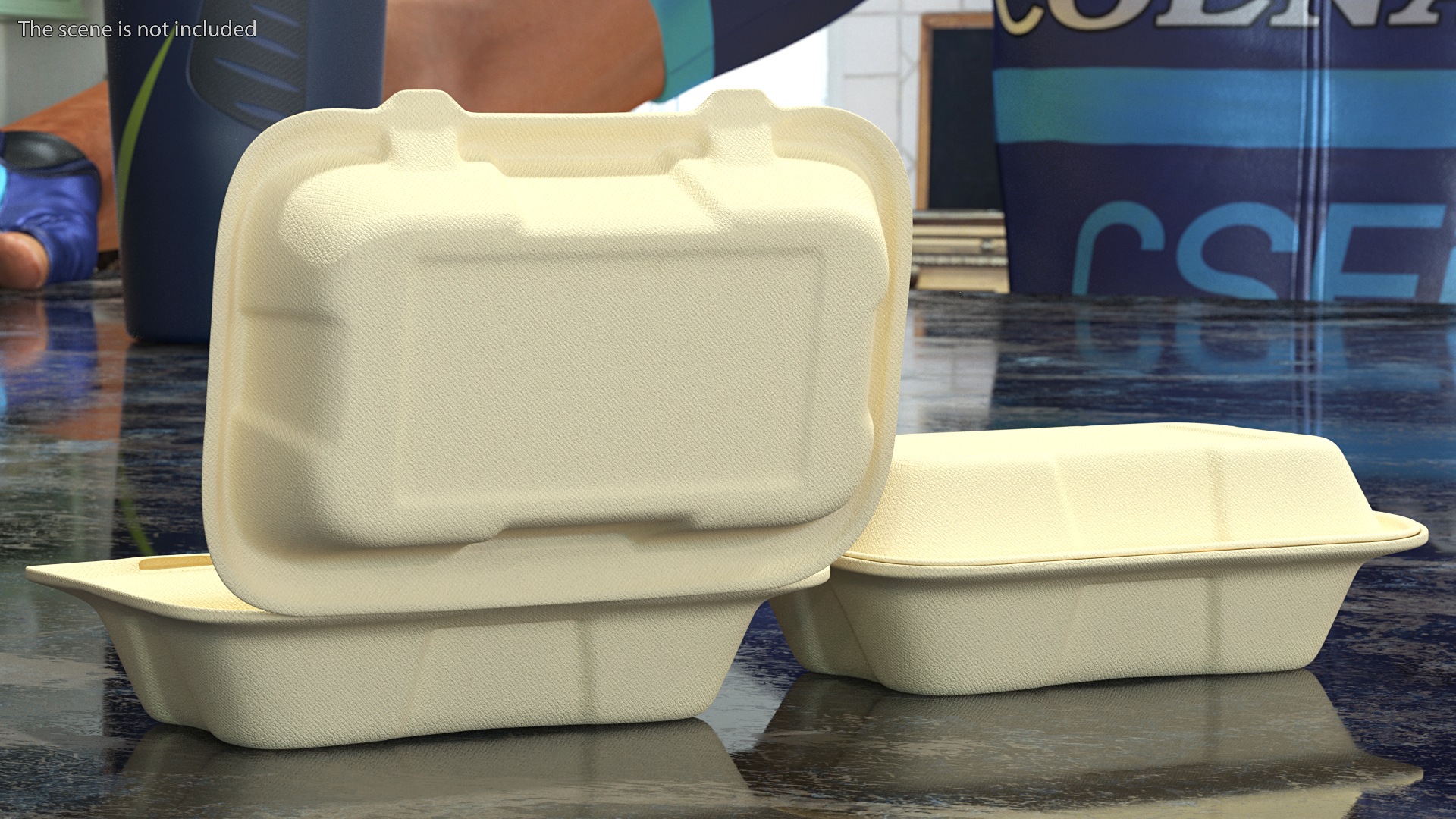 3D Bagasse Food Container Set