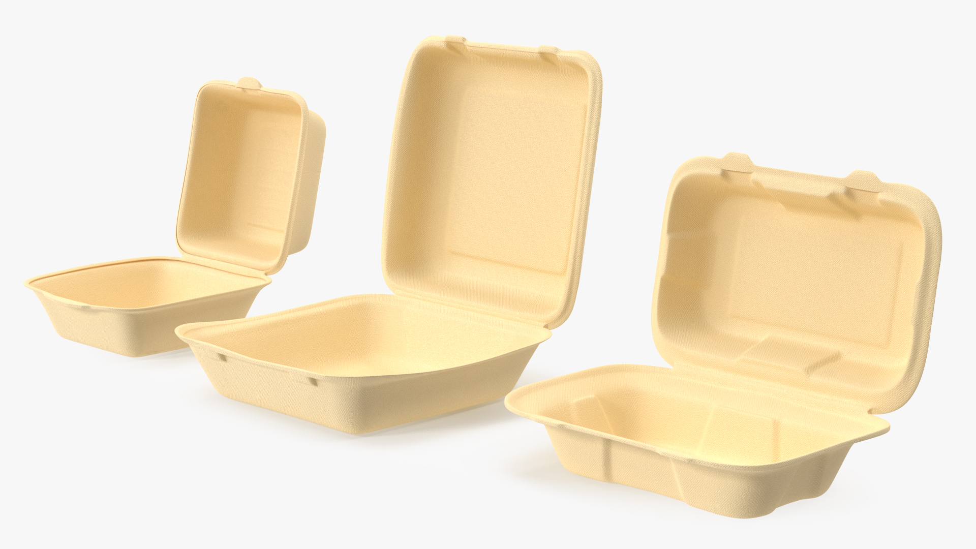 3D Bagasse Food Container Set