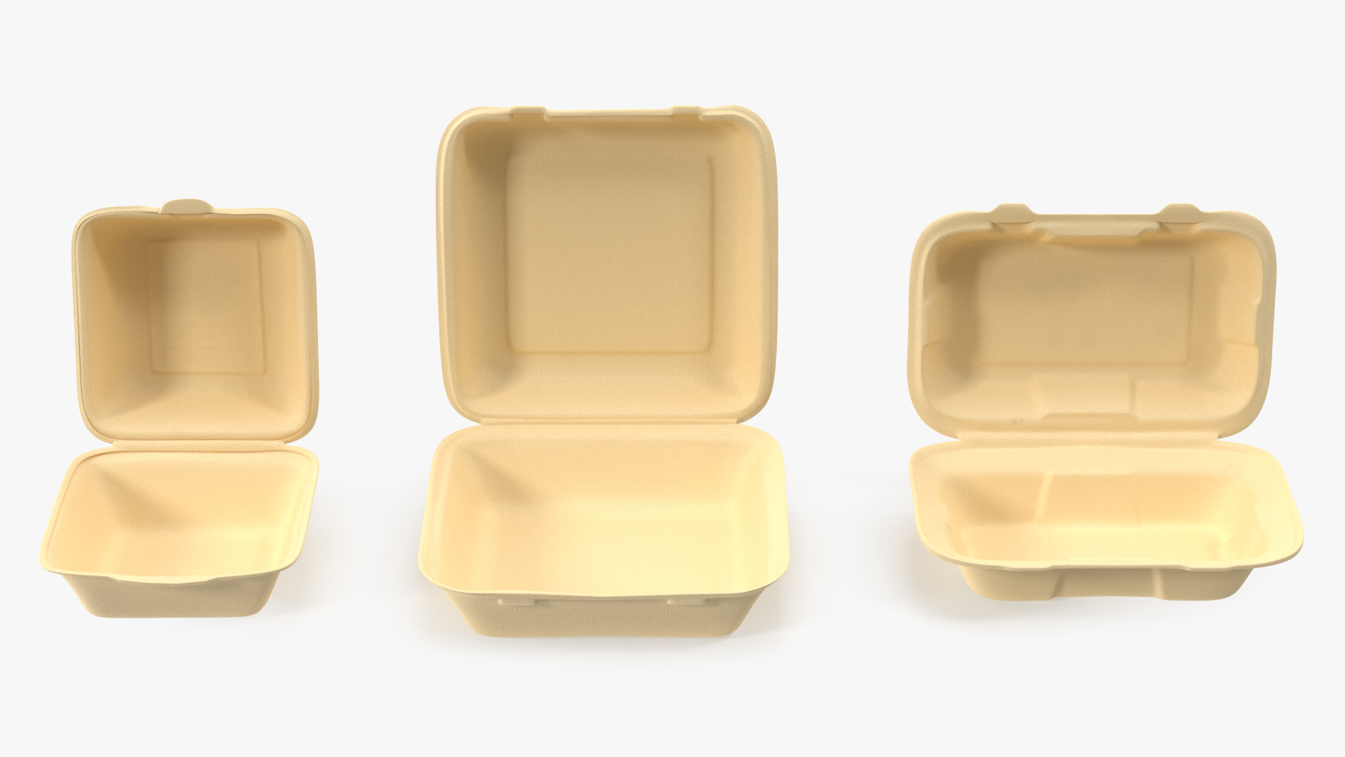 3D Bagasse Food Container Set