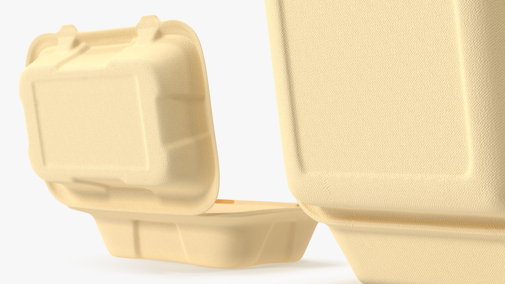 3D Bagasse Food Container Set