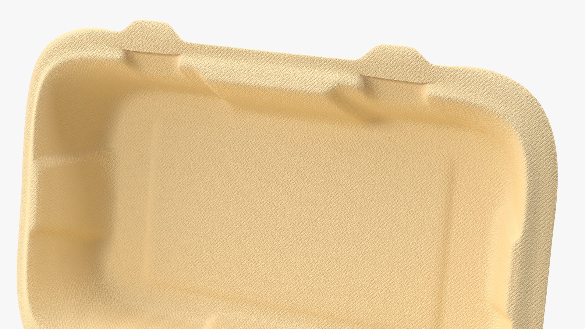 3D Bagasse Food Container Set