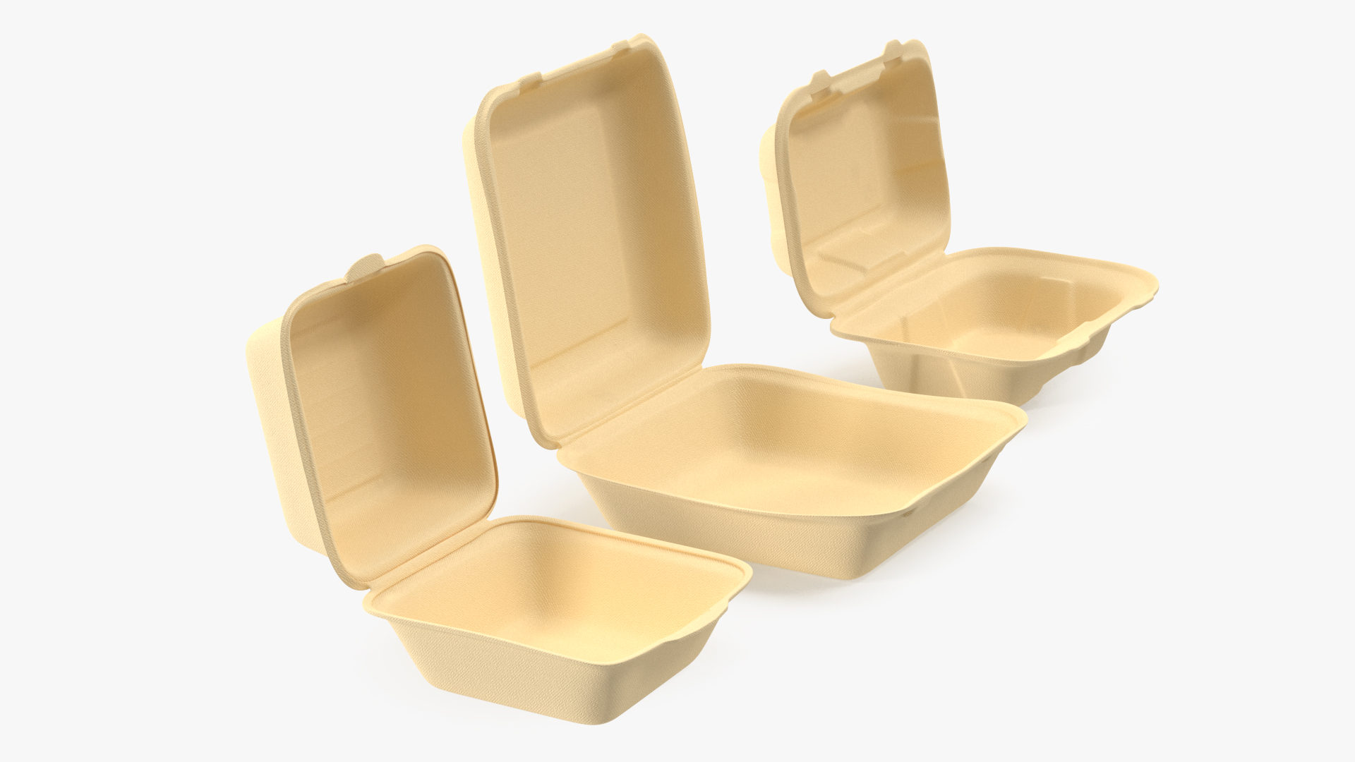 3D Bagasse Food Container Set