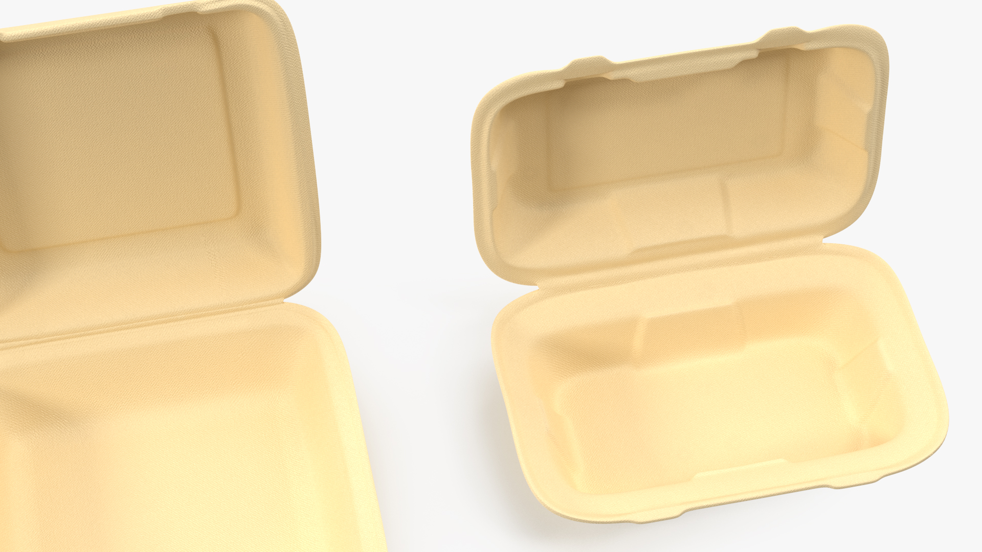 3D Bagasse Food Container Set