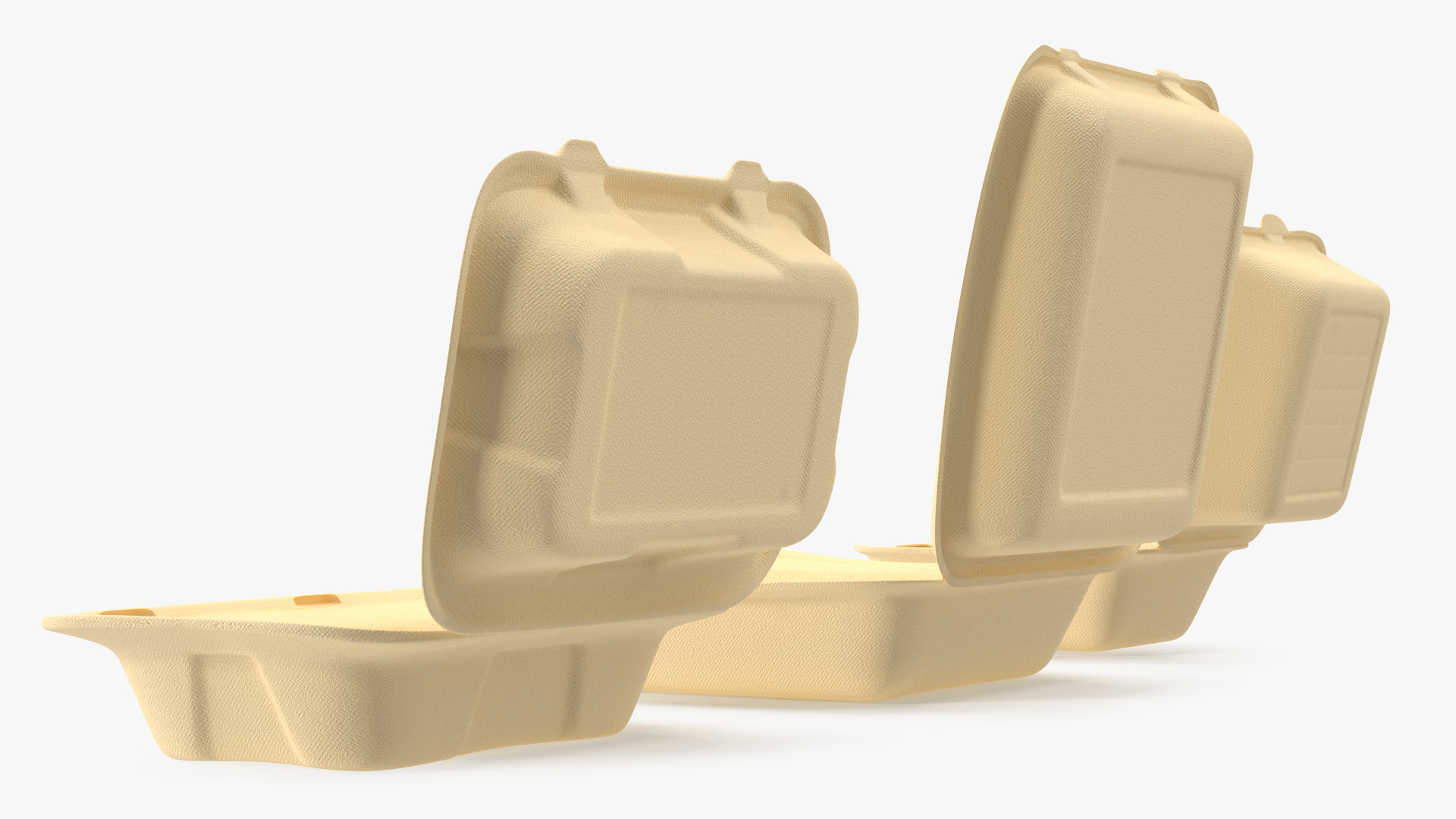3D Bagasse Food Container Set