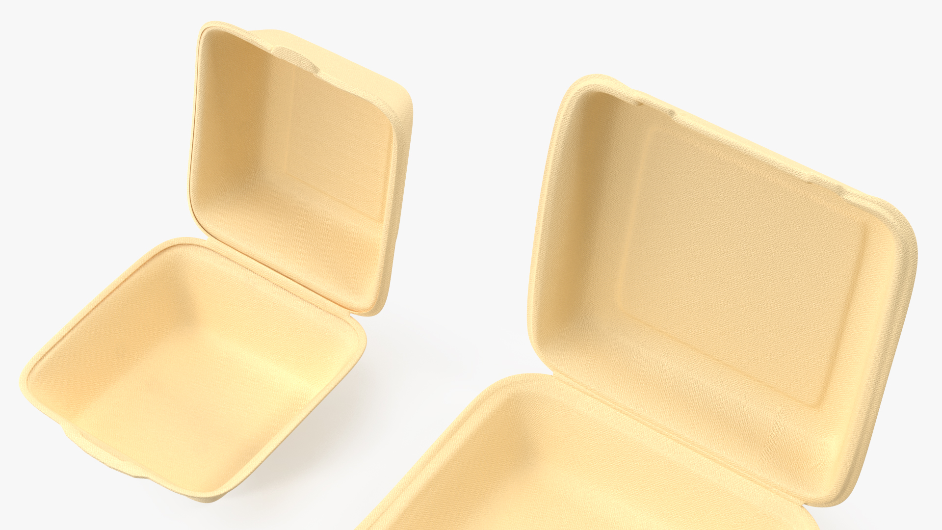 3D Bagasse Food Container Set