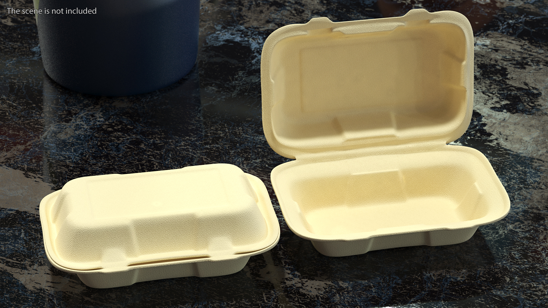 3D Bagasse Food Container Set