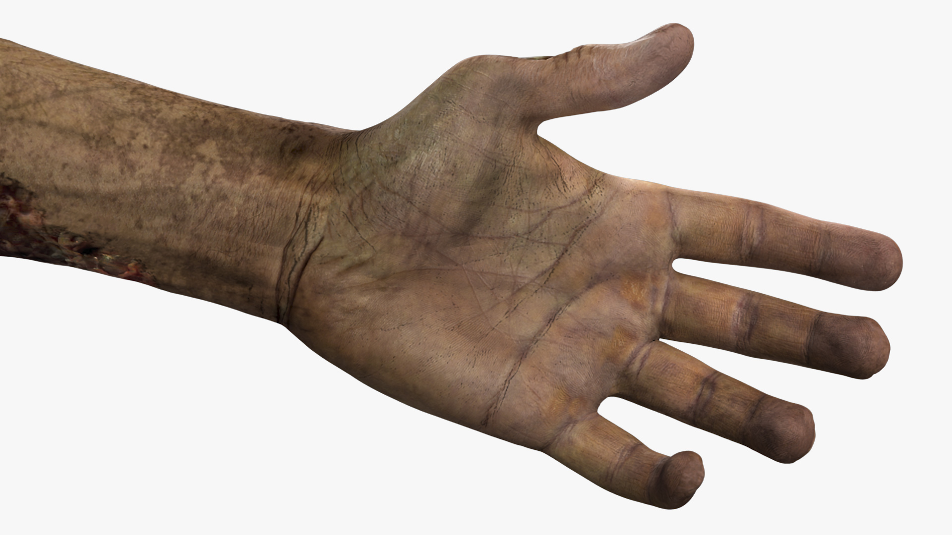 Realistic Zombie Hands 3D