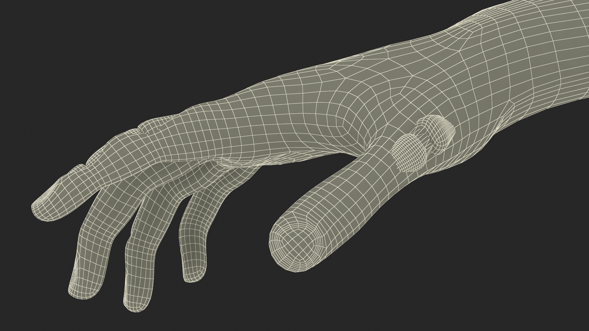 Realistic Zombie Hands 3D