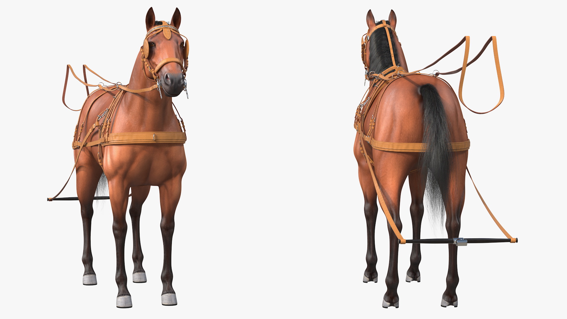 3D Horse Drawn Leather Single Driving Harness Fur Rigged model