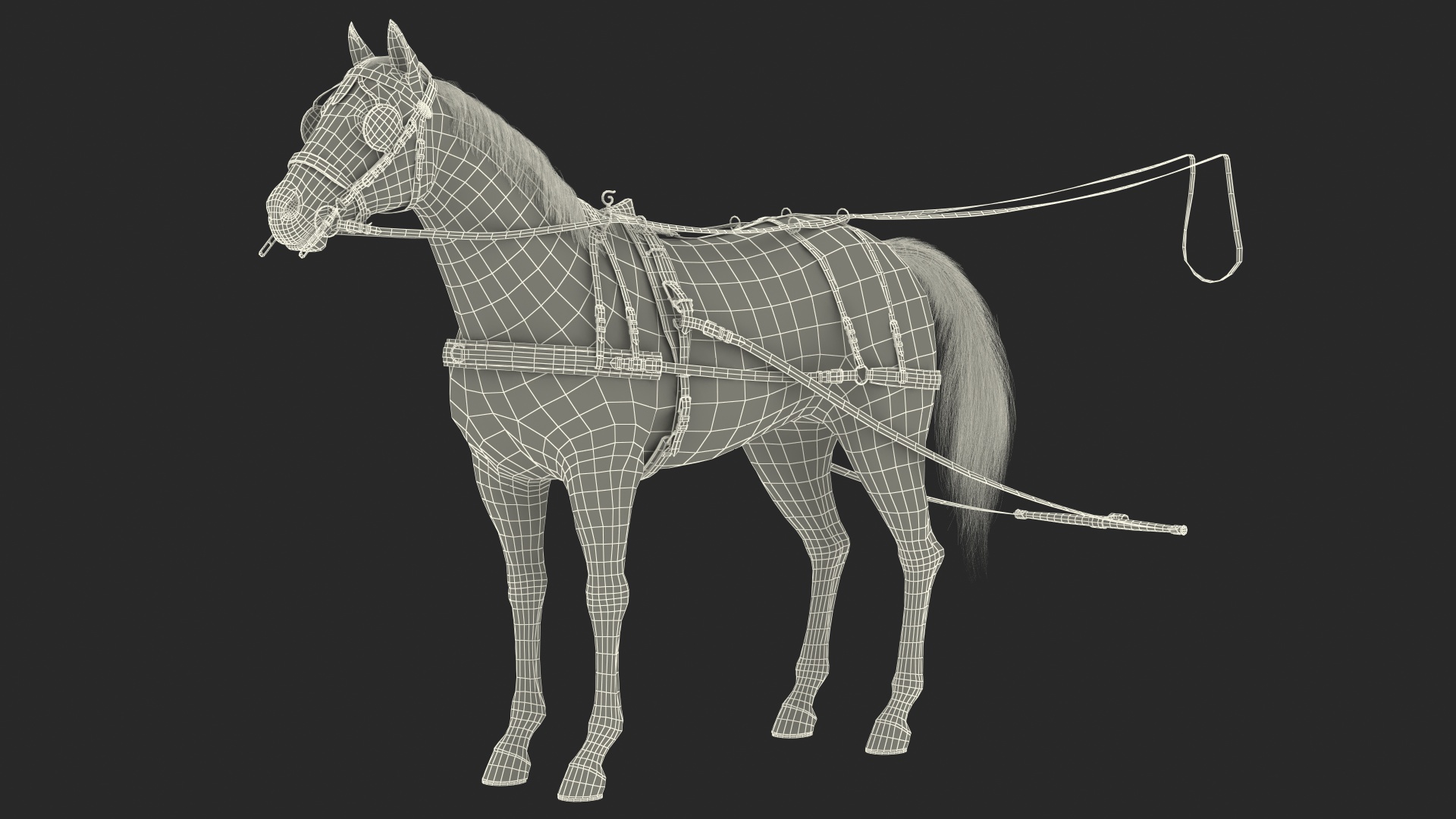 3D Horse Drawn Leather Single Driving Harness Fur Rigged model