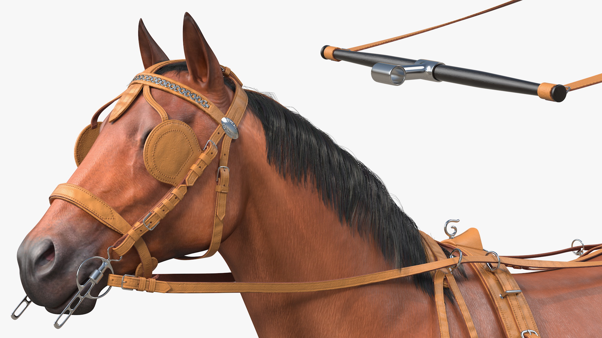 3D Horse Drawn Leather Single Driving Harness Fur Rigged model
