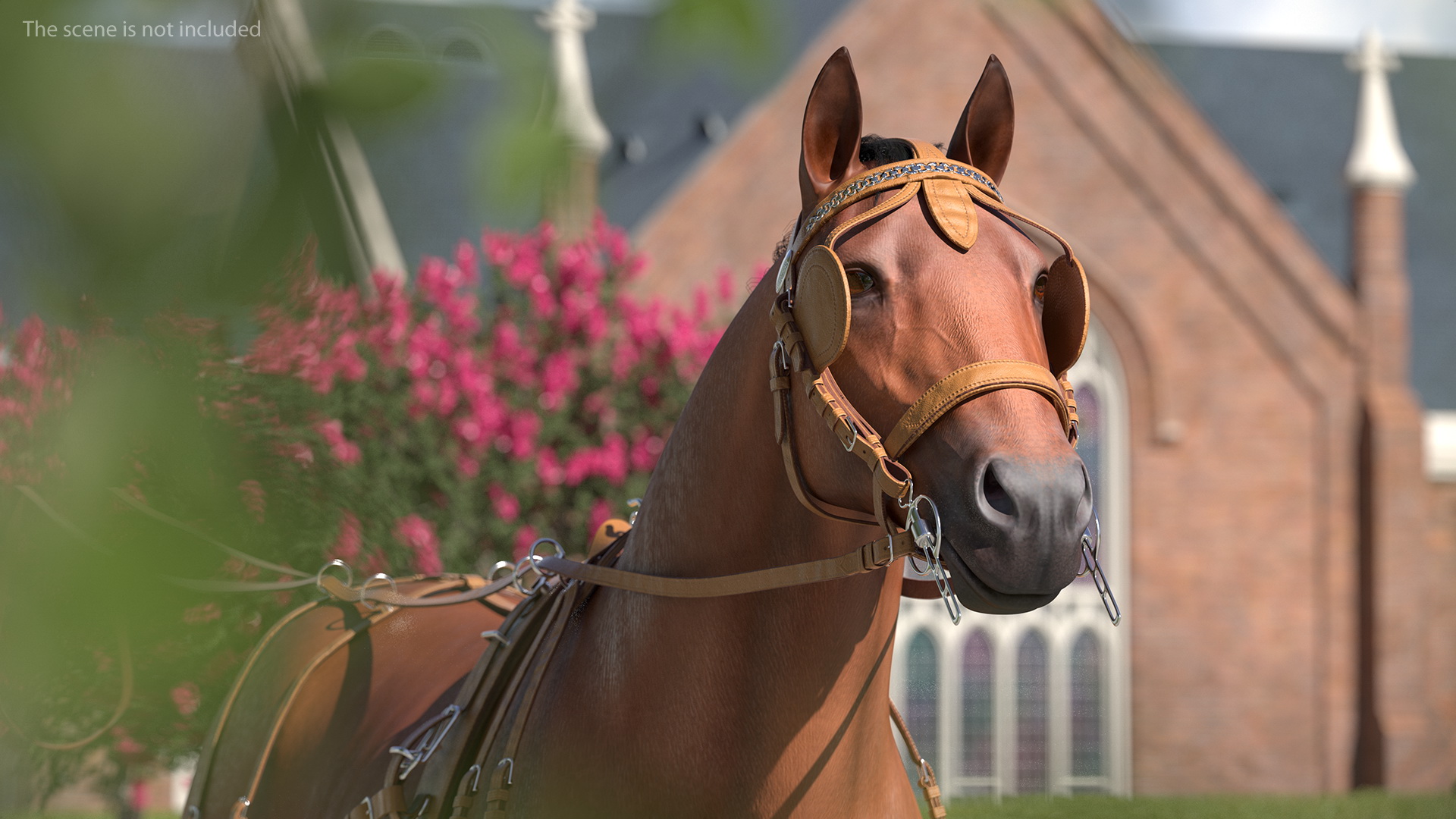 3D Horse Drawn Leather Single Driving Harness Fur Rigged model