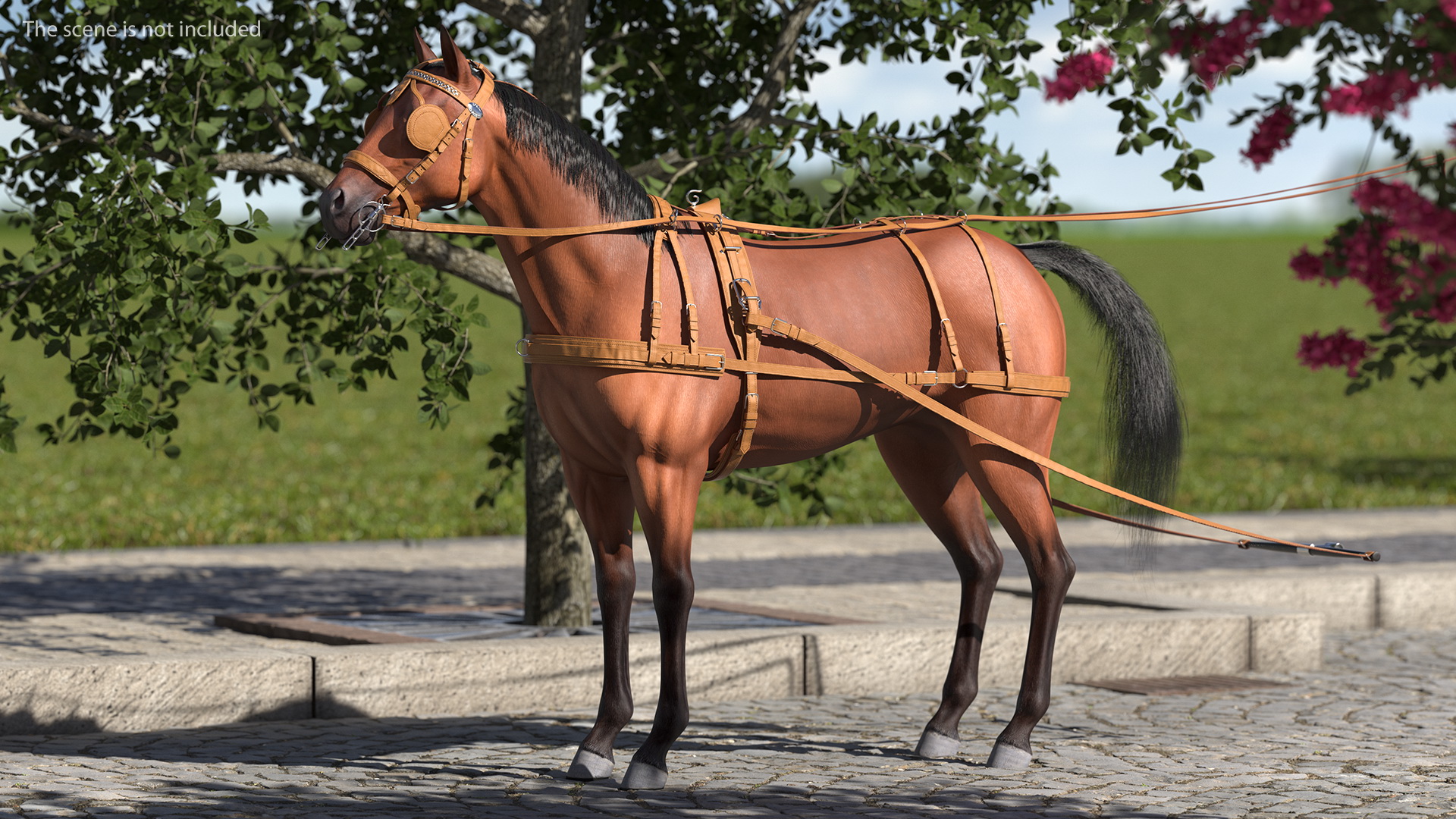 3D Horse Drawn Leather Single Driving Harness Fur Rigged model