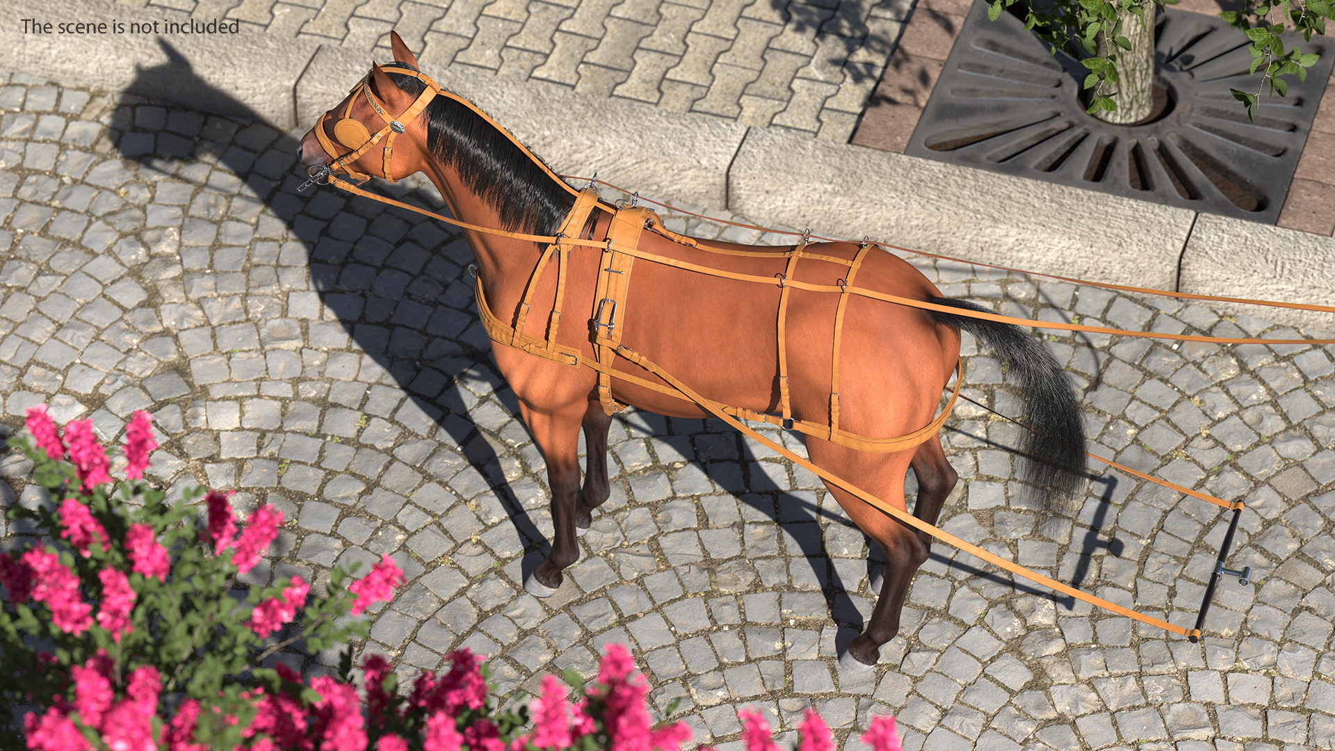 3D Horse Drawn Leather Single Driving Harness Fur Rigged model