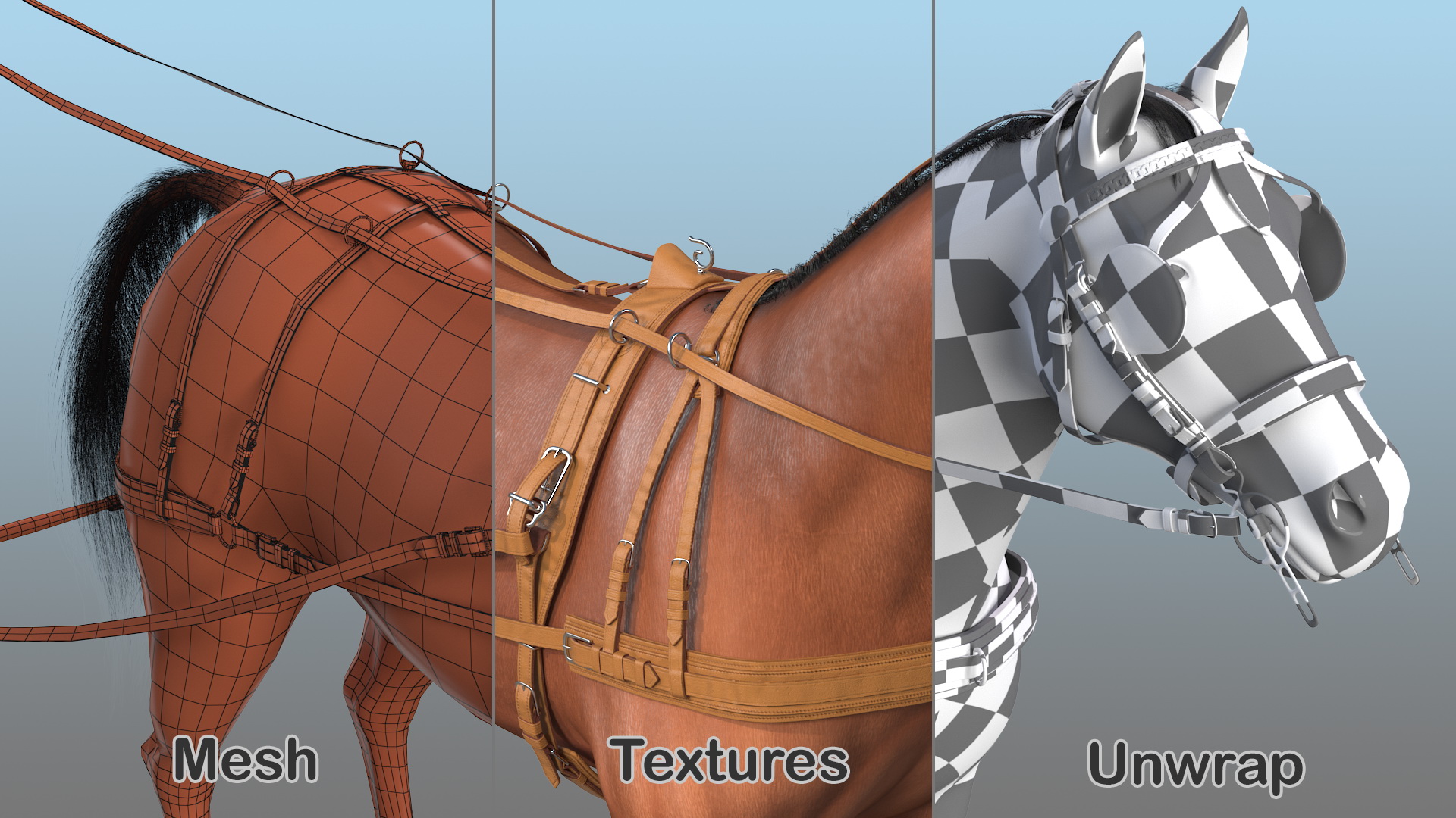 3D Horse Drawn Leather Single Driving Harness Fur Rigged model