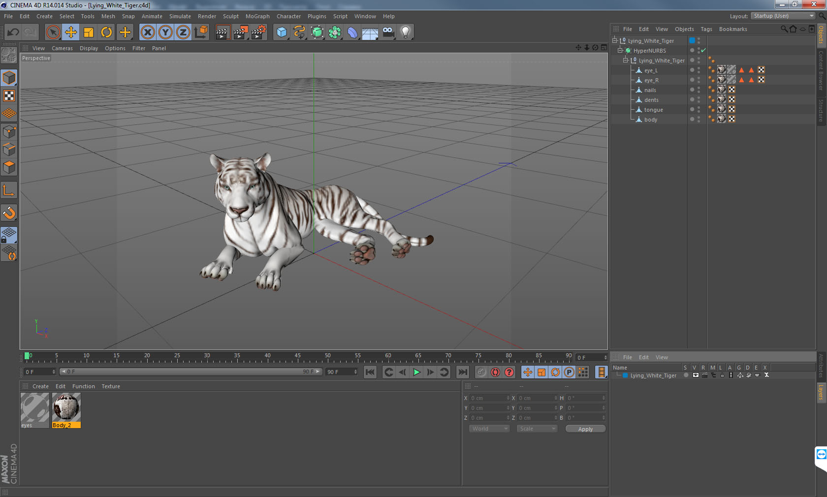 Lying White Tiger 3D