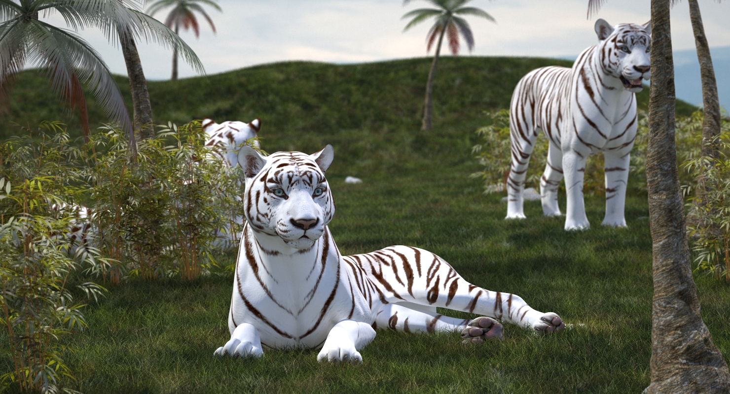 Lying White Tiger 3D