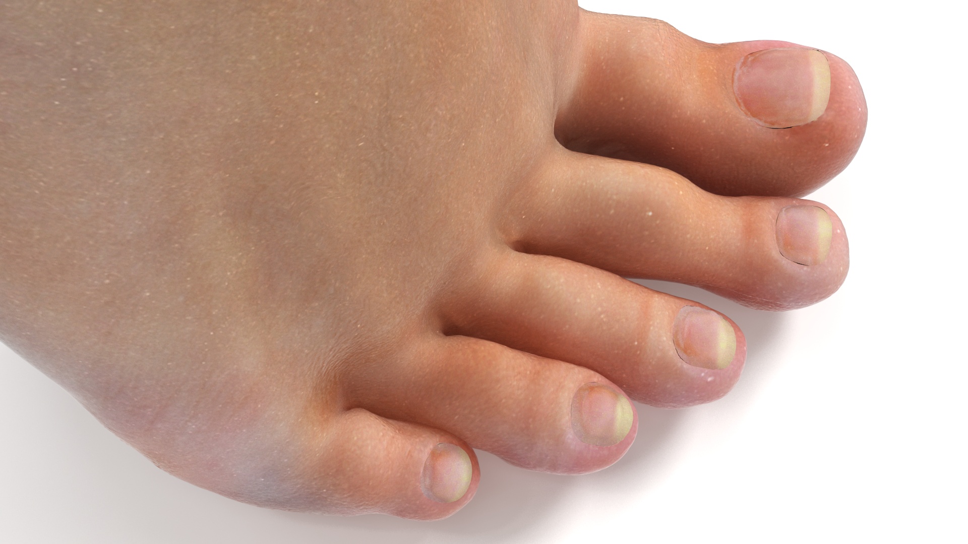 3D Woman Feet are Raised on Her Toes model