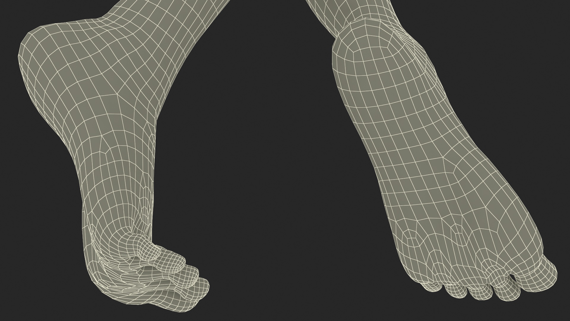 3D Woman Feet are Raised on Her Toes model