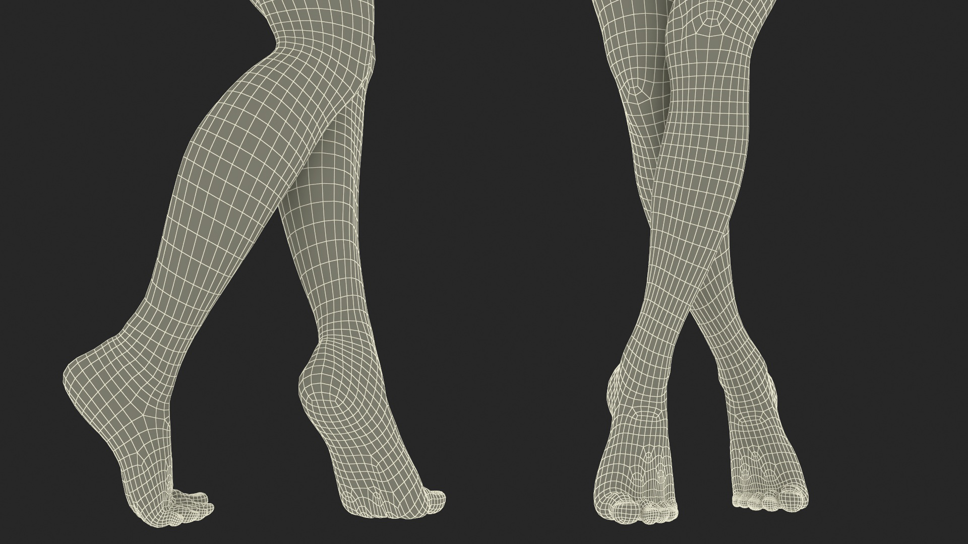 3D Woman Feet are Raised on Her Toes model