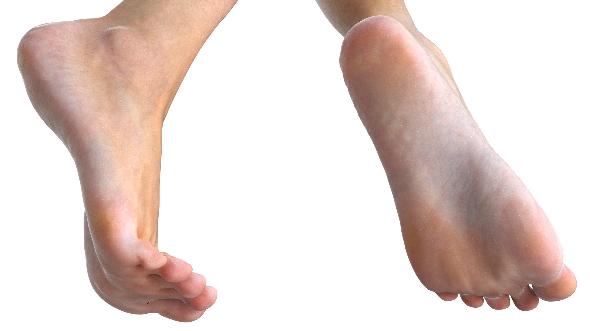 3D Woman Feet are Raised on Her Toes model