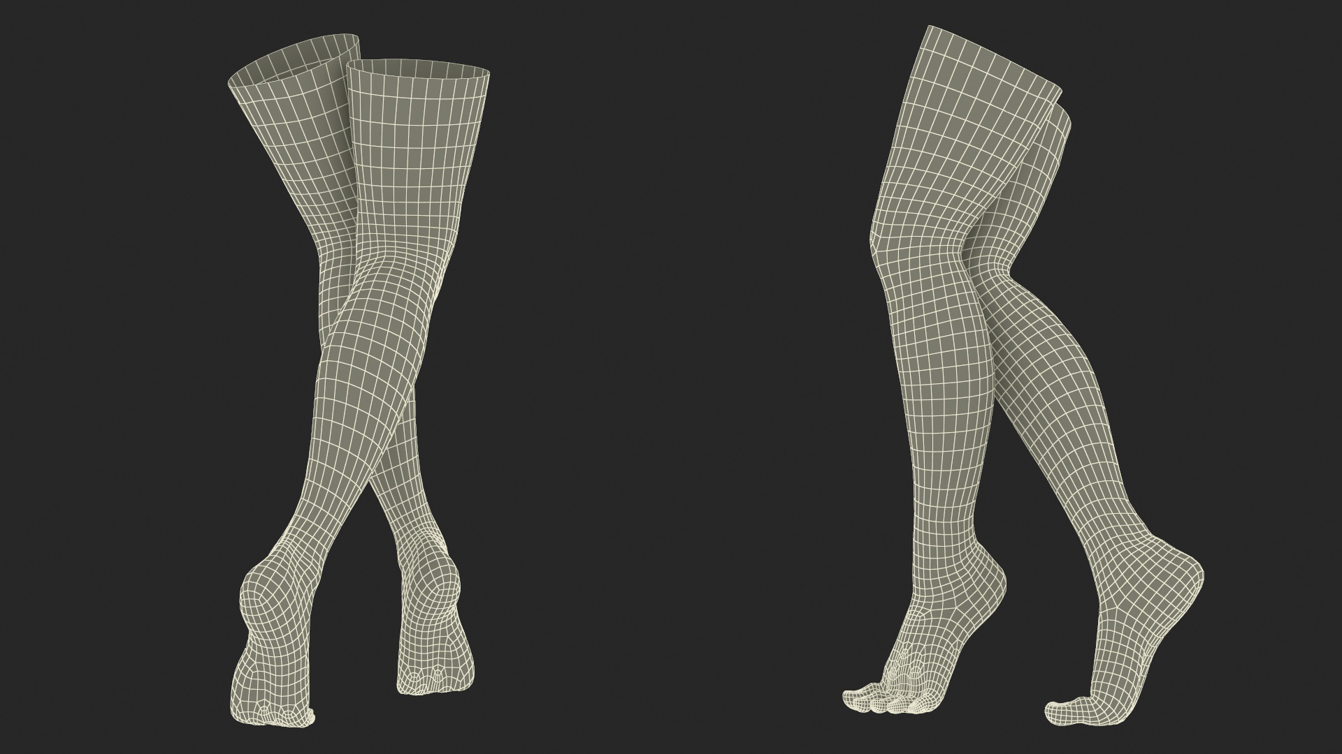 3D Woman Feet are Raised on Her Toes model