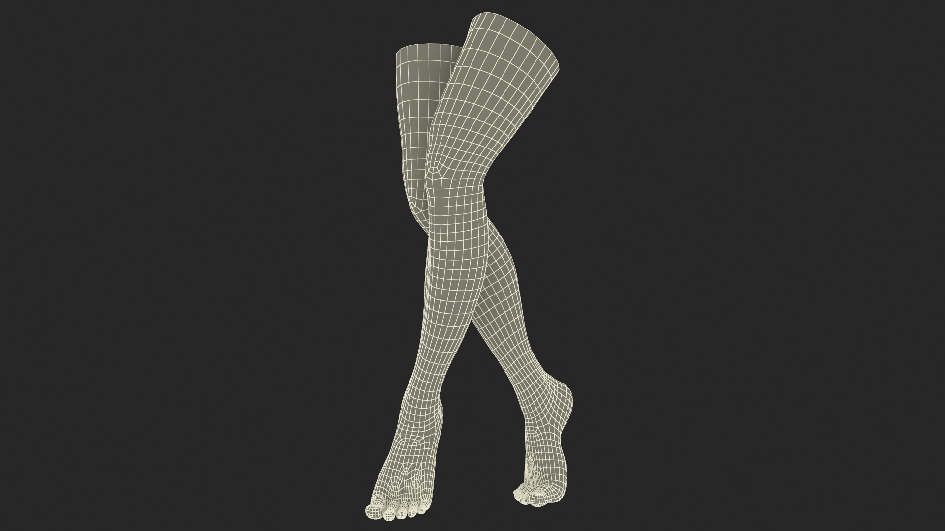 3D Woman Feet are Raised on Her Toes model