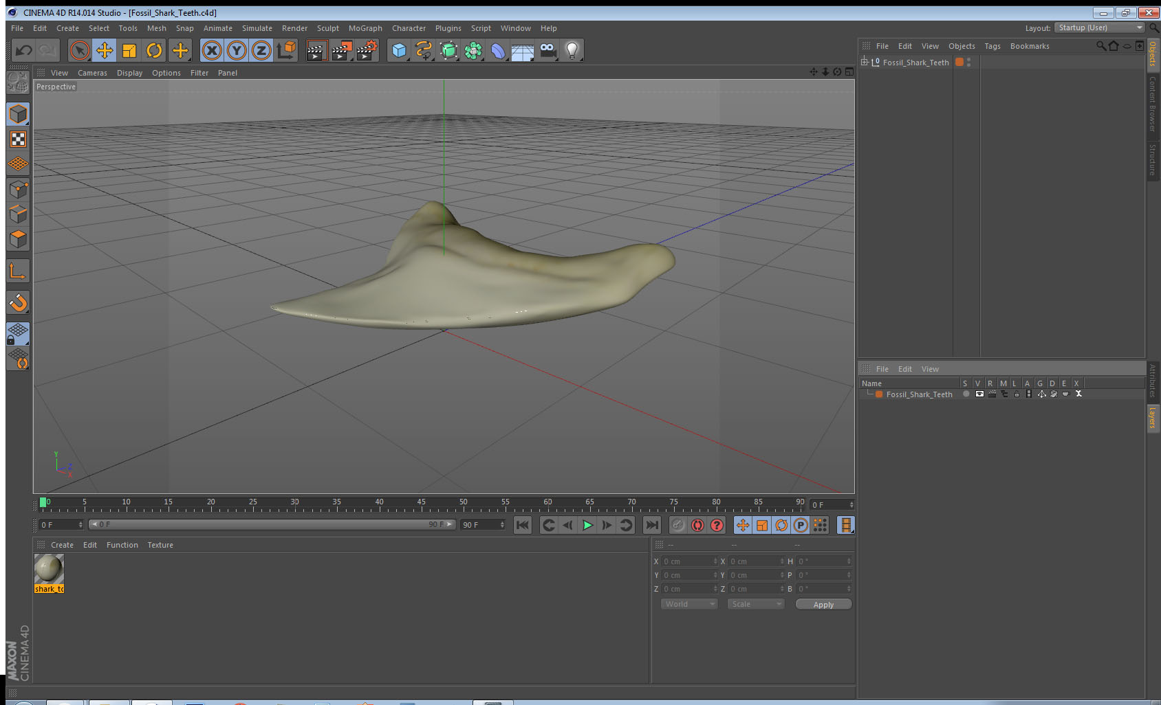 3D Fossil Shark Teeth model