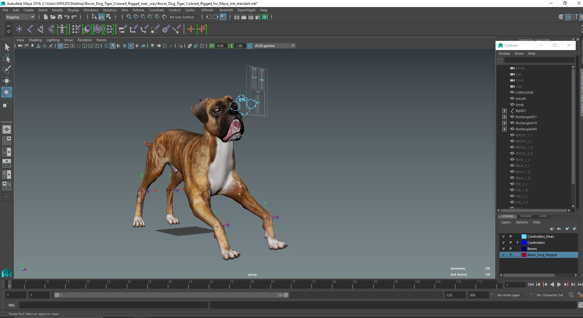 Boxer Dog Tiger Colored Rigged for Maya 3D model