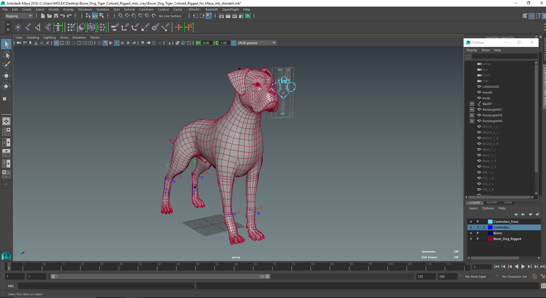 Boxer Dog Tiger Colored Rigged for Maya 3D model