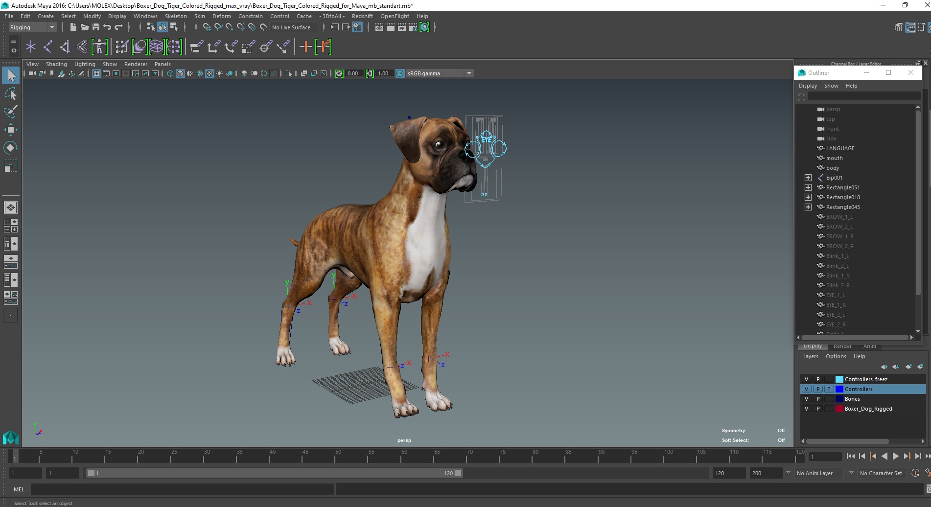 Boxer Dog Tiger Colored Rigged for Maya 3D model