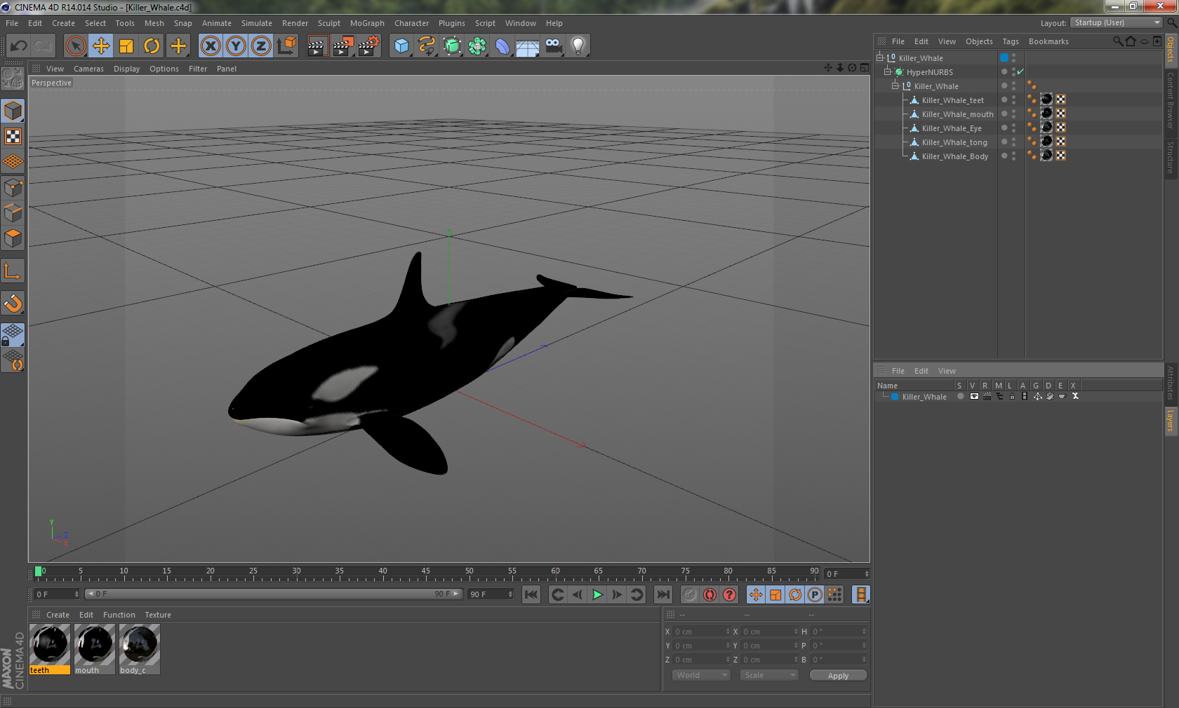 Killer Whale 3D