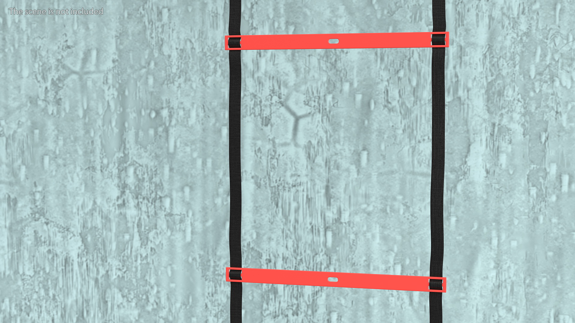 3D Agility Ladder Red model