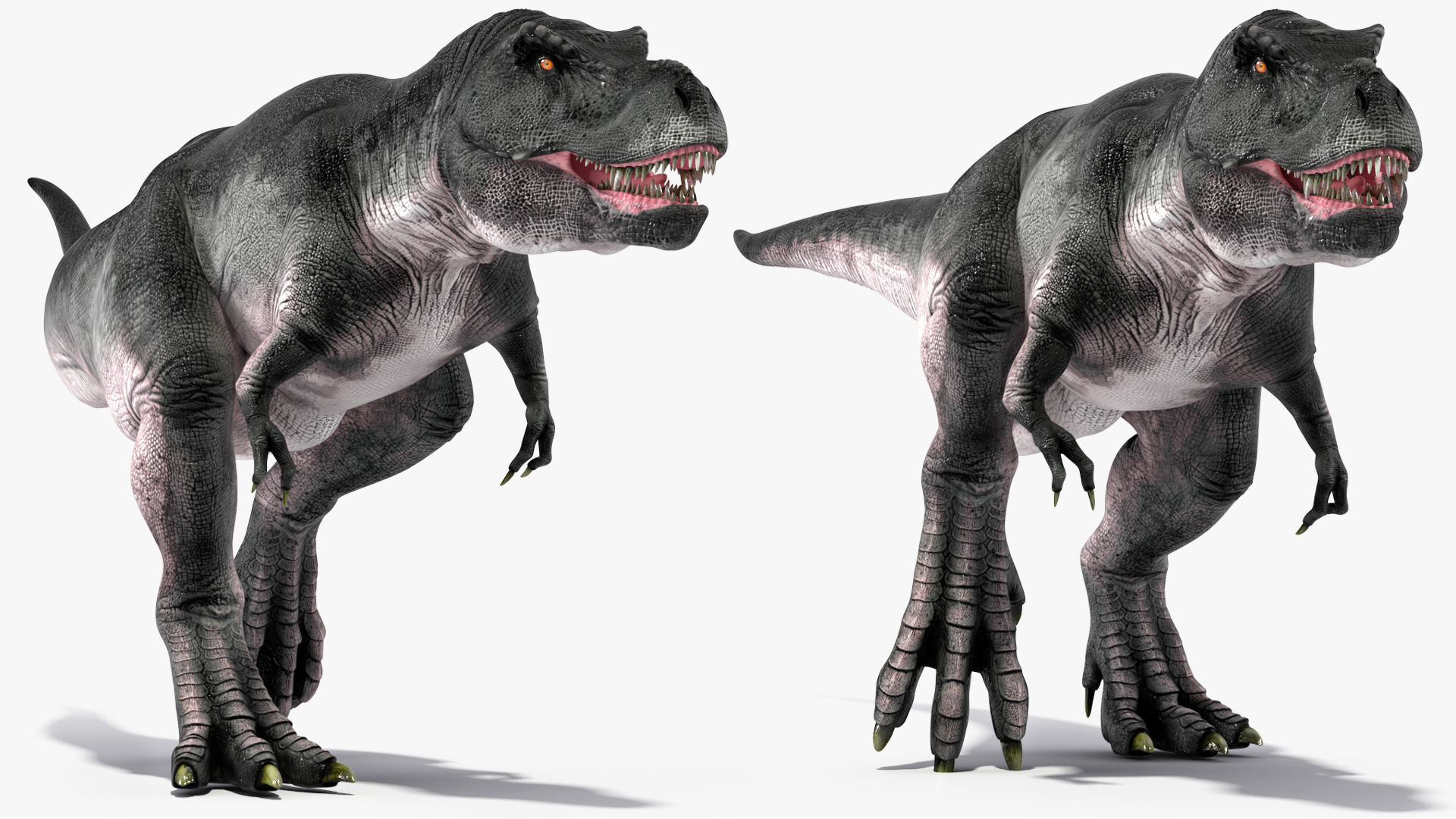 3D T Rex Running Animated Rigged for Maya model