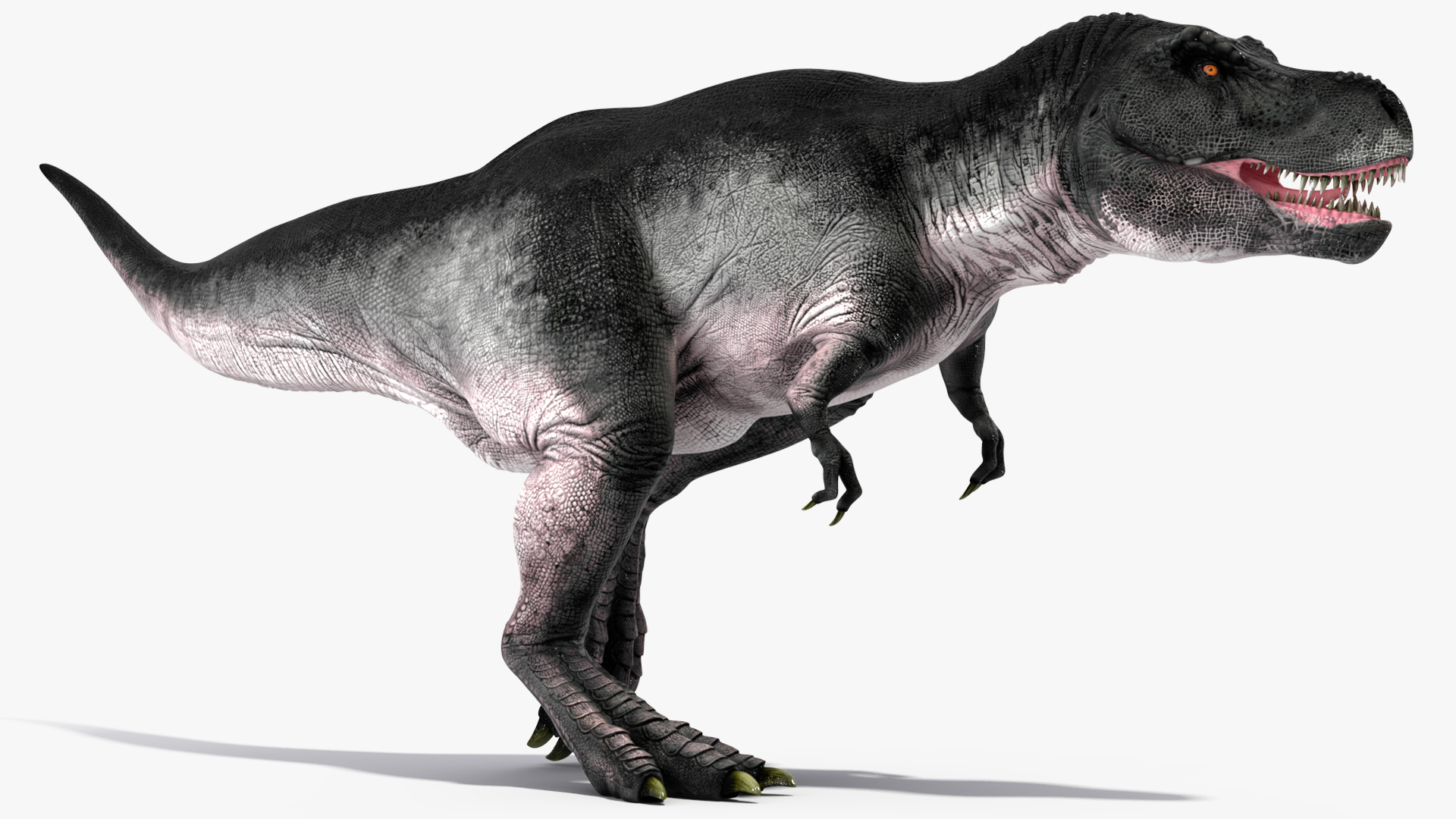 3D T Rex Running Animated Rigged for Maya model