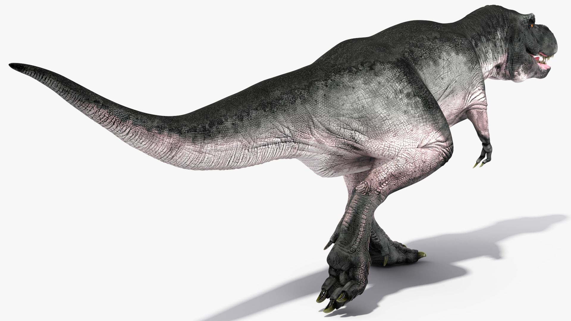 3D T Rex Running Animated Rigged for Maya model