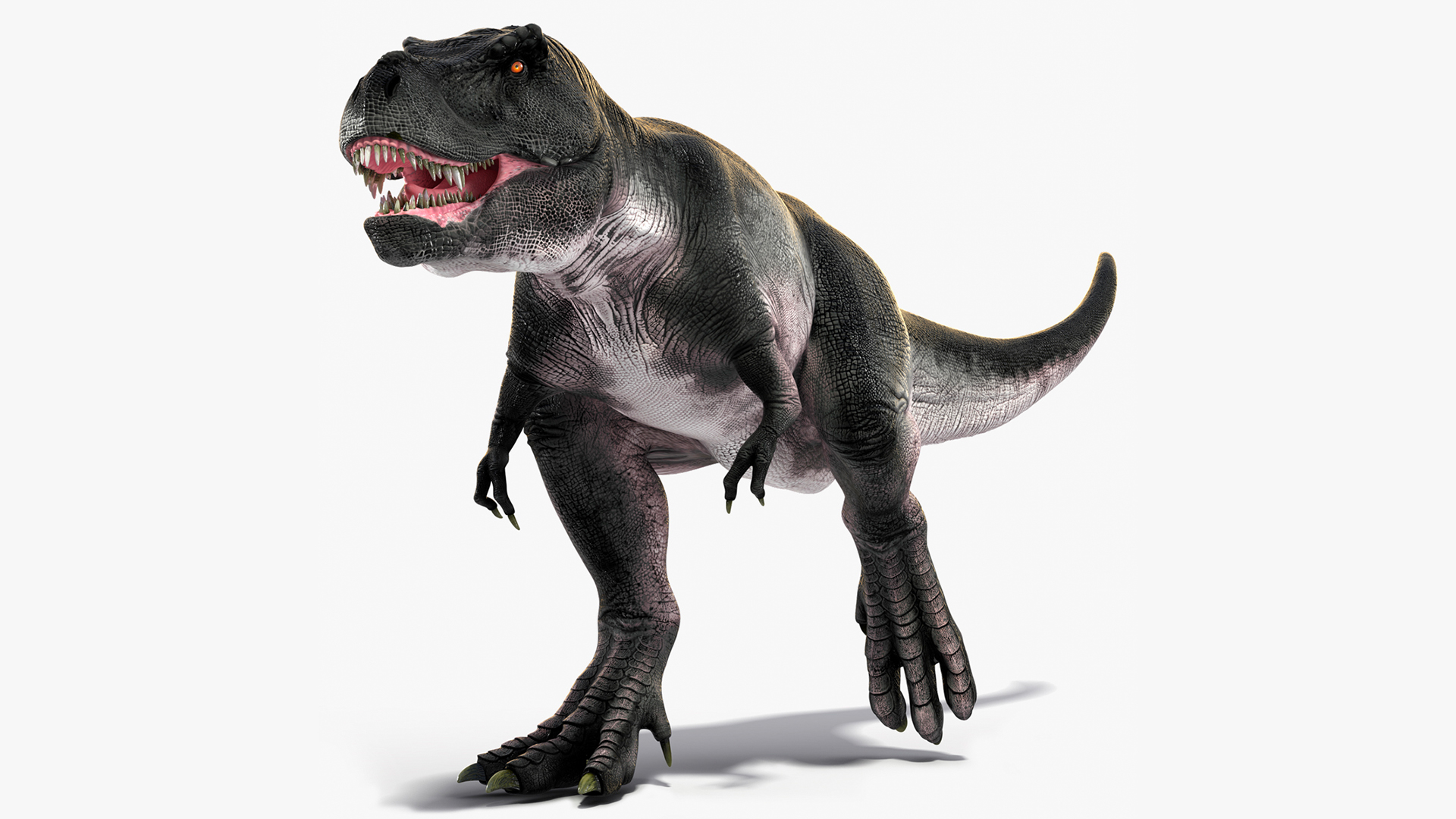 3D T Rex Running Animated Rigged for Maya model