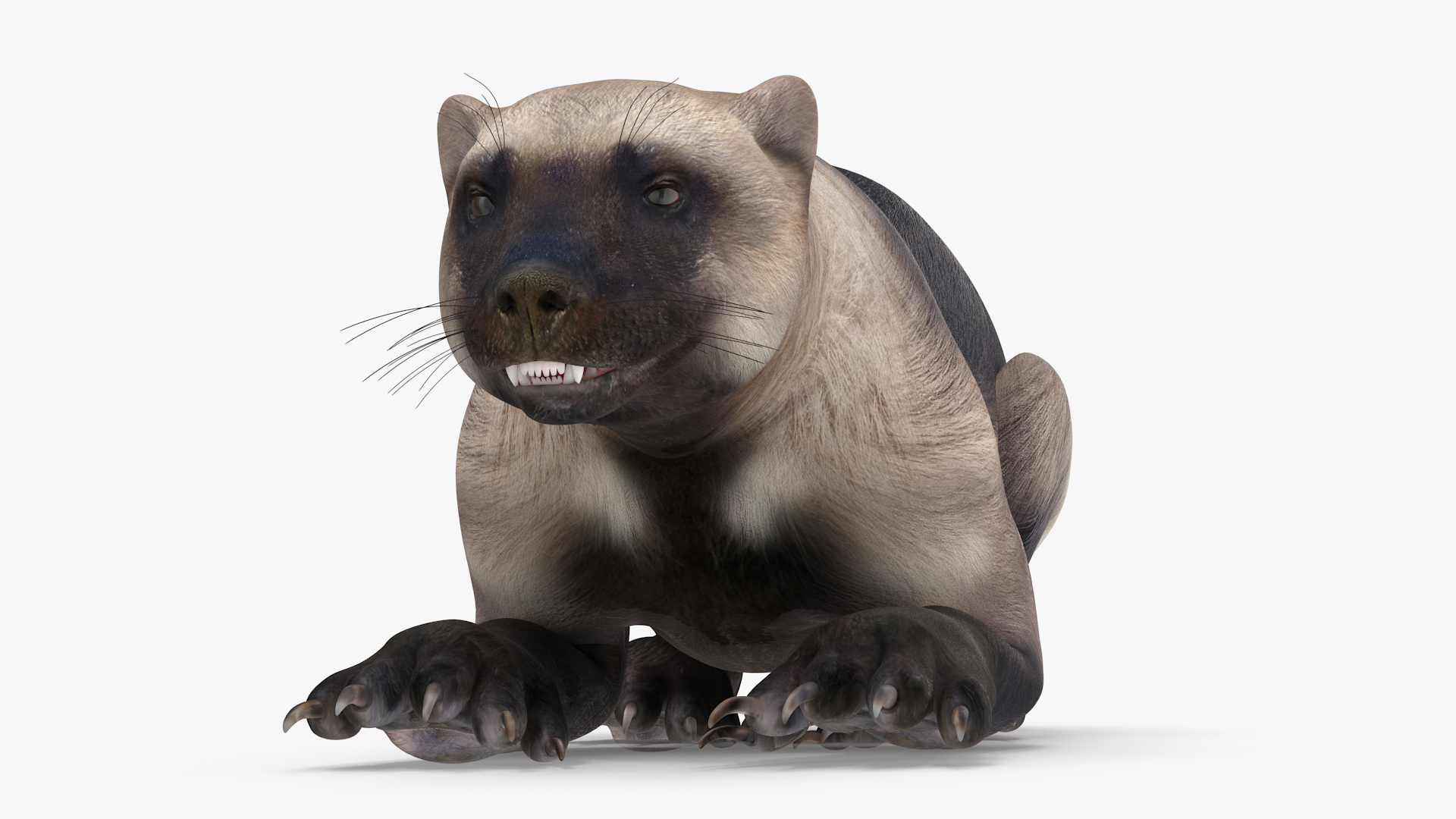 Wolverine Light Color Lying Down Pose 3D