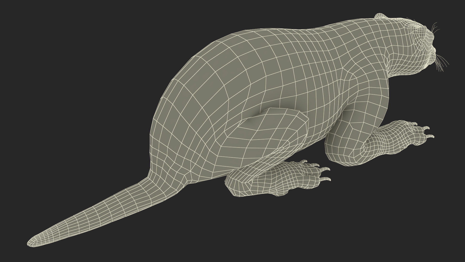 Wolverine Light Color Lying Down Pose 3D