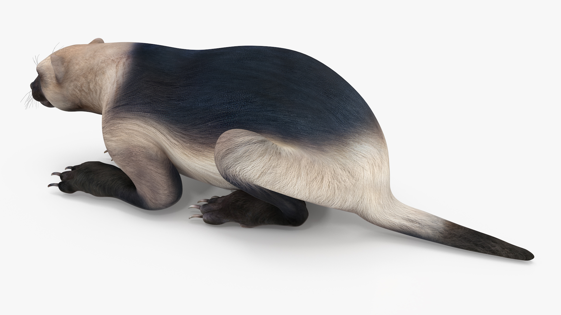 Wolverine Light Color Lying Down Pose 3D