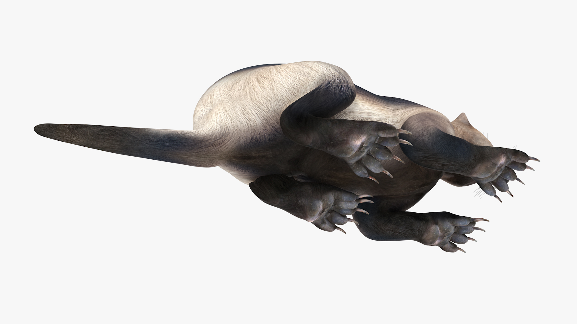 Wolverine Light Color Lying Down Pose 3D